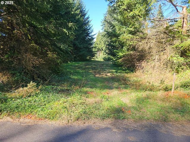 45400 Ne PUP CREEK Rd, Woodland, WA 98674