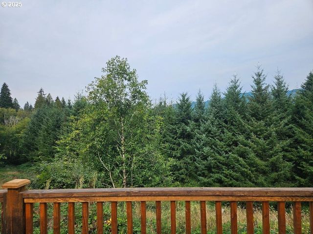 45400 Ne PUP CREEK Rd, Woodland, WA 98674