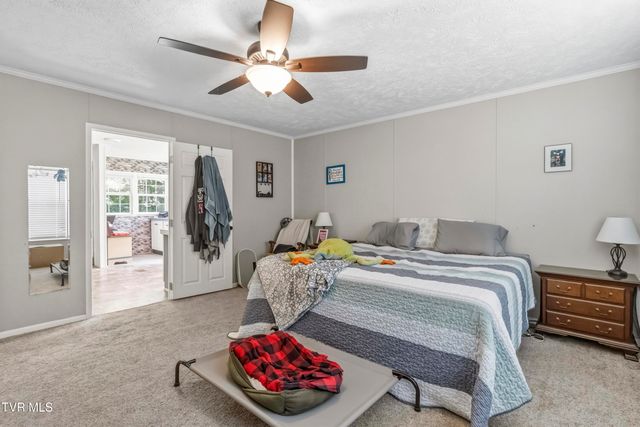 245 McCamey Road, Mosheim, TN 37818