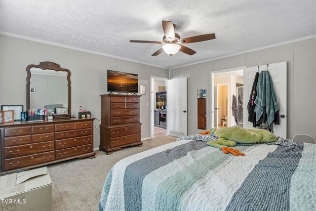 245 McCamey Road, Mosheim, TN 37818