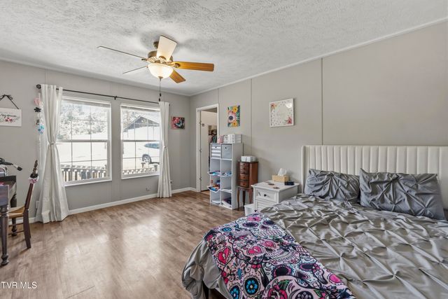 245 McCamey Road, Mosheim, TN 37818