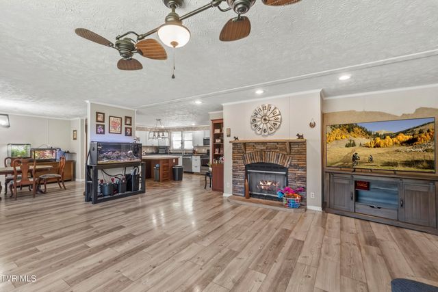 245 McCamey Road, Mosheim, TN 37818
