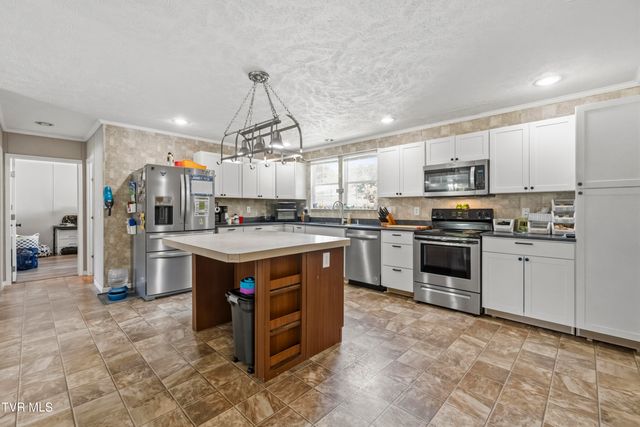245 McCamey Road, Mosheim, TN 37818