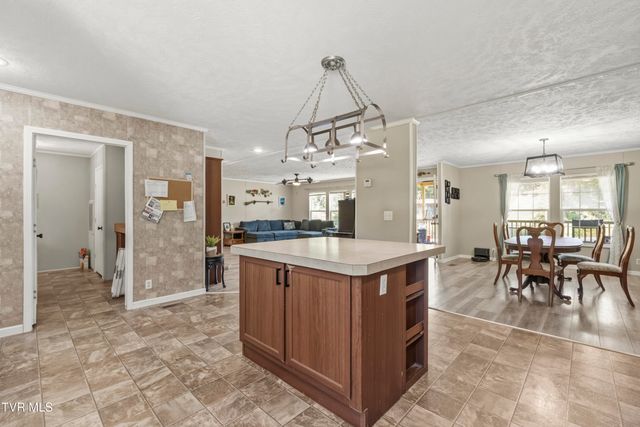 245 McCamey Road, Mosheim, TN 37818
