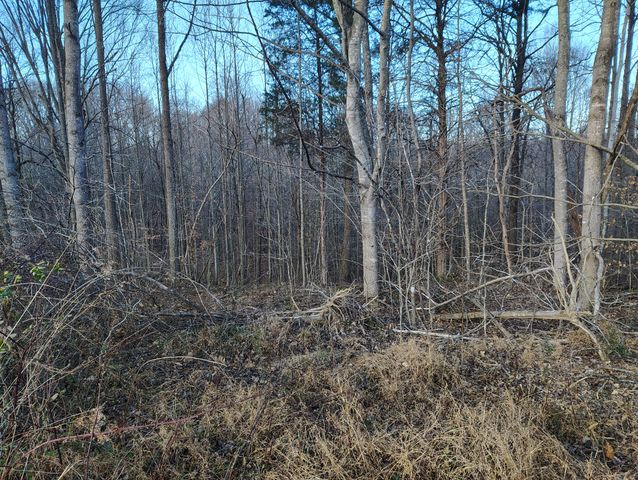 1625 Tanyard Rd, Lafayette, TN 37083