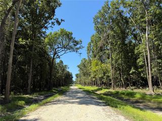 DR #7 (10ac) NW 193RD ST, Micanopy, FL 32667