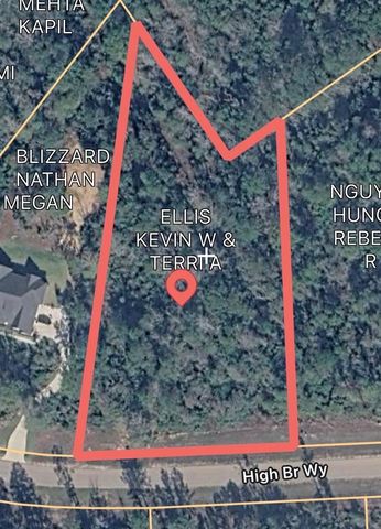 12075 High Branch Way, Willis, TX 77378