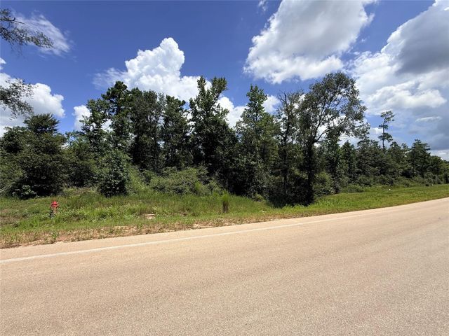 12075 High Branch Way, Willis, TX 77378