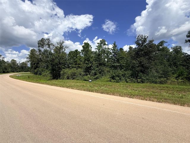 12075 High Branch Way, Willis, TX 77378