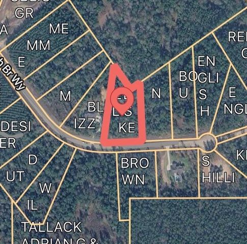 12075 High Branch Way, Willis, TX 77378