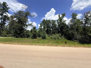 12075 High Branch Way, Willis, TX 77378