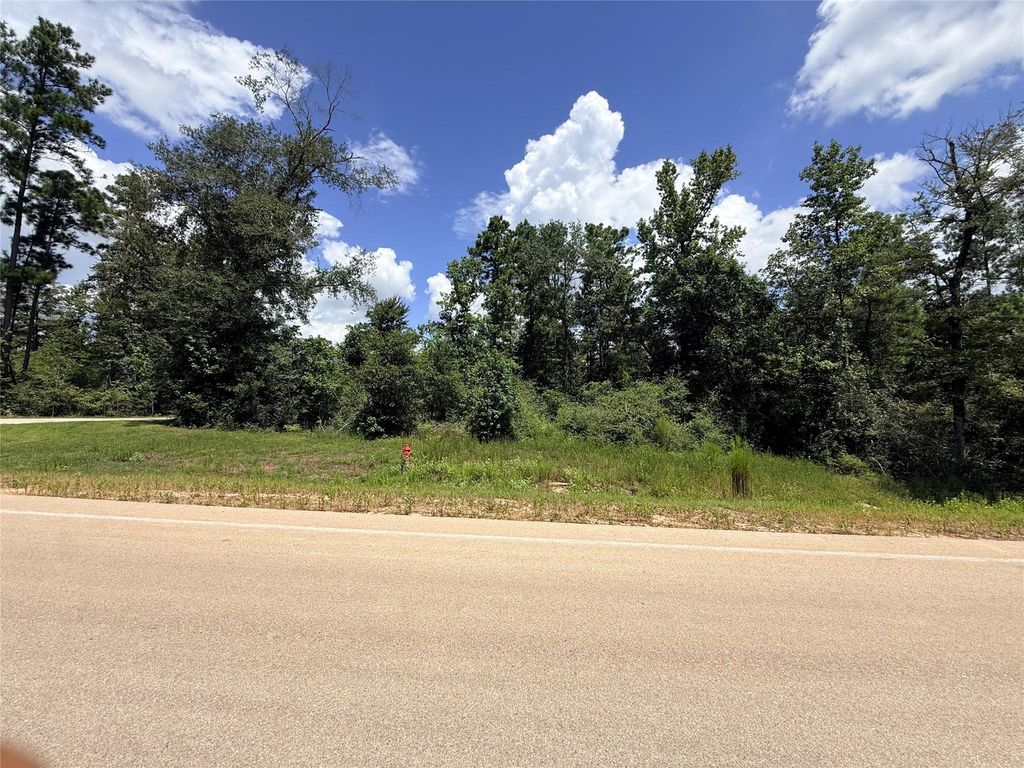 12075 High Branch Way, Willis, TX 77378