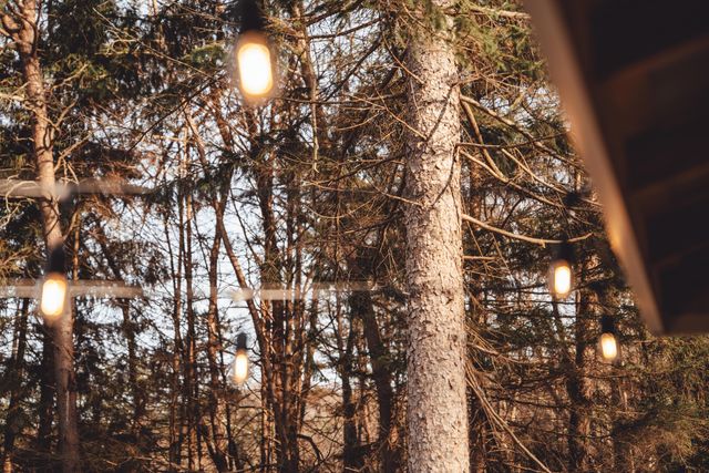 22959 Bigham Road, Rockbridge, OH 43149