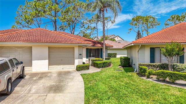 18312 AINTREE COURT 0, Tampa, FL 33647