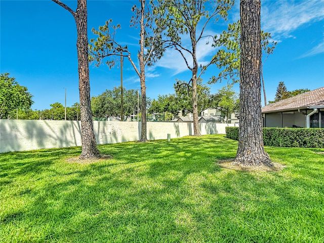 18312 AINTREE COURT 0, Tampa, FL 33647