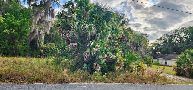 839 SUMMERALL AVENUE, Tavares, FL 32778