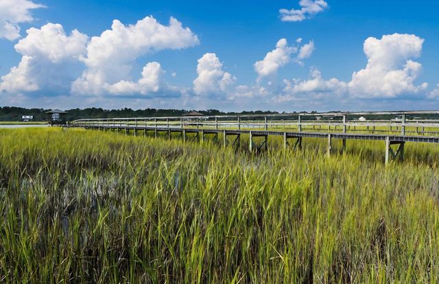35 Georgeanna Ct., Pawleys Island, SC 29585