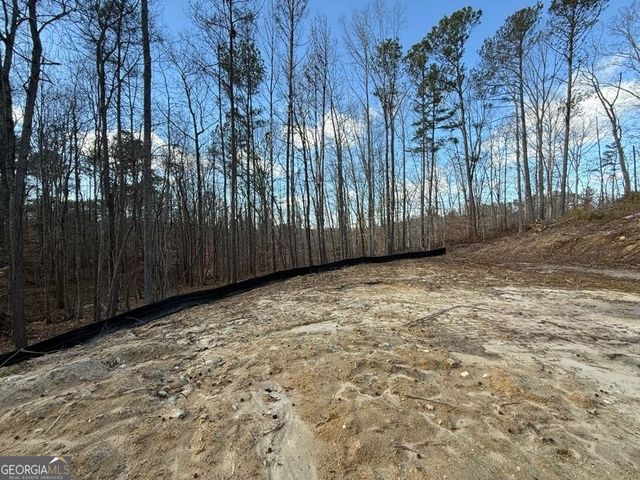 342 Dandy Road, Dallas, GA 30132