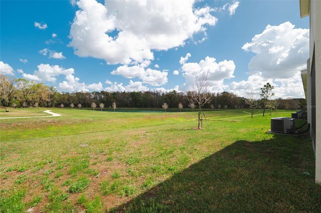 1287 COLT CREEK PLACE, Wesley Chapel, FL 33543