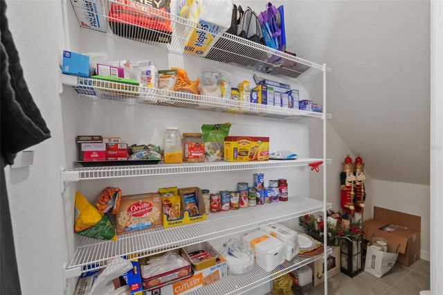 1287 COLT CREEK PLACE, Wesley Chapel, FL 33543