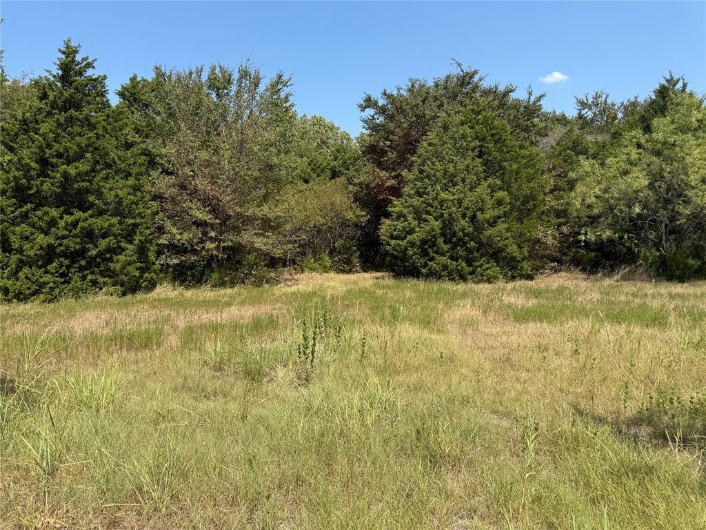 TBD I-20, Wills Point, TX 76169