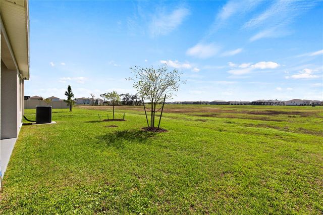 6250 WANDERING WILLOW DRIVE, Wesley Chapel, FL 33545