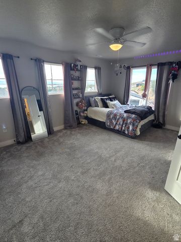 683 S 325 E, Willard, UT 84340