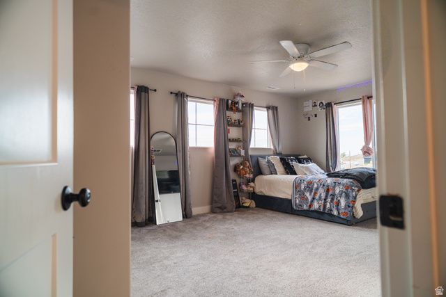 683 S 325 E, Willard, UT 84340