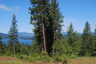 5895 S GRAINGER CT, Harrison, ID 83833