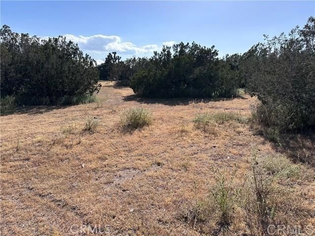 Daisy Road, Oak Hills, CA 92344