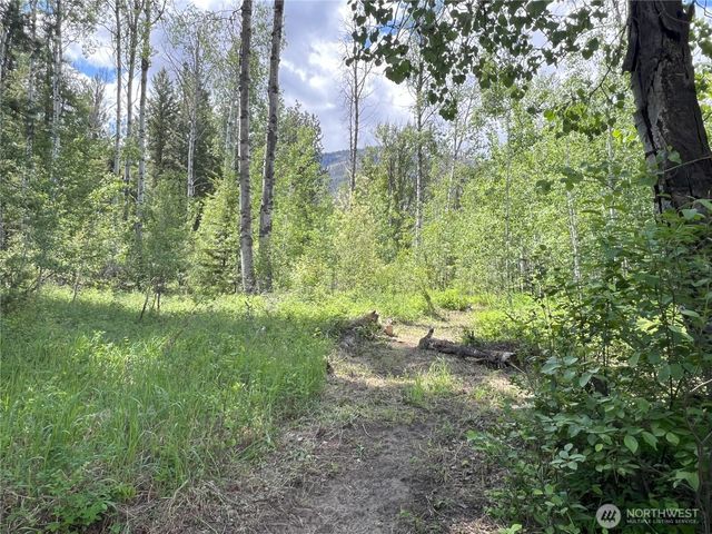 7 Mazama Meadows Lane, Mazama, WA 98833