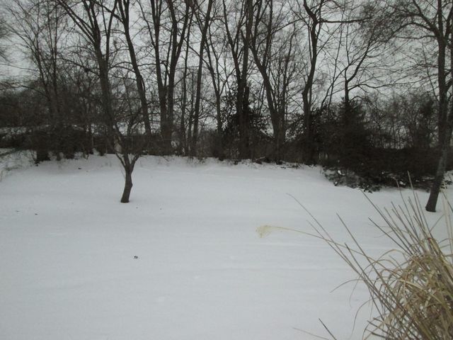 419 Foster Avenue, Florence, KY 41042