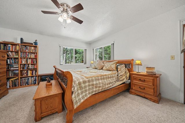27144 Woodland Rd, Pioneer, CA 95666
