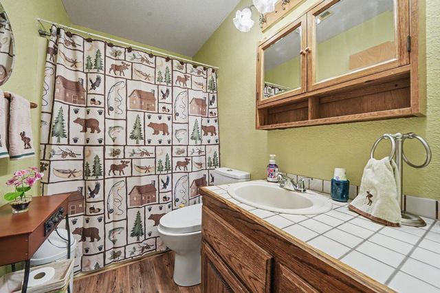 27144 Woodland Rd, Pioneer, CA 95666