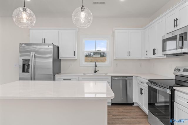 21254 Scuttle Street, Athens, AL 35611