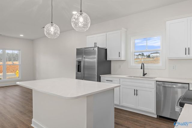 21254 Scuttle Street, Athens, AL 35611