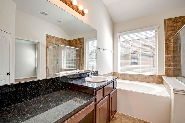 20 Cheswood Manor Court, The Woodlands, TX 77382