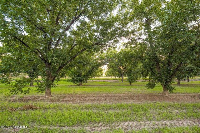 3070 Estrada Road, Mesilla, NM 88046