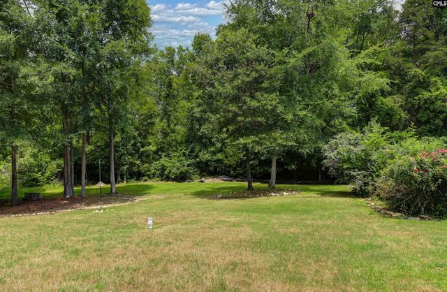 769 Dutchmans Branch Court, Irmo, SC 29063