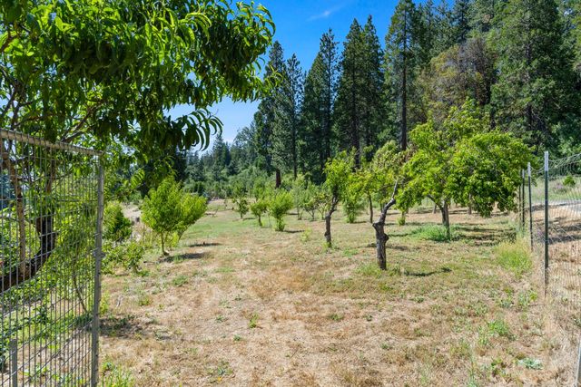 1237 Cable Rd, Camino, CA 95709