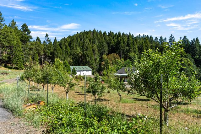 1237 Cable Rd, Camino, CA 95709