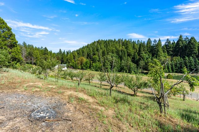 1237 Cable Rd, Camino, CA 95709