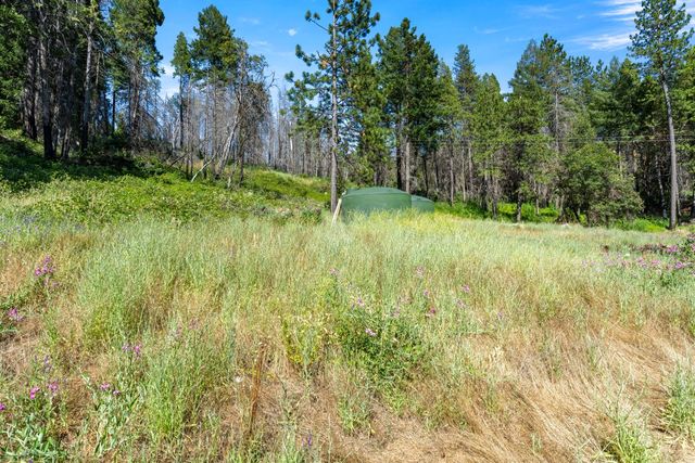 1237 Cable Rd, Camino, CA 95709