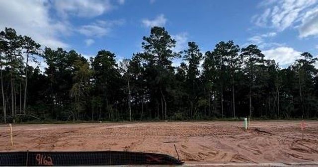 9162 Grand Jubilee Drive, Montgomery, TX 77316