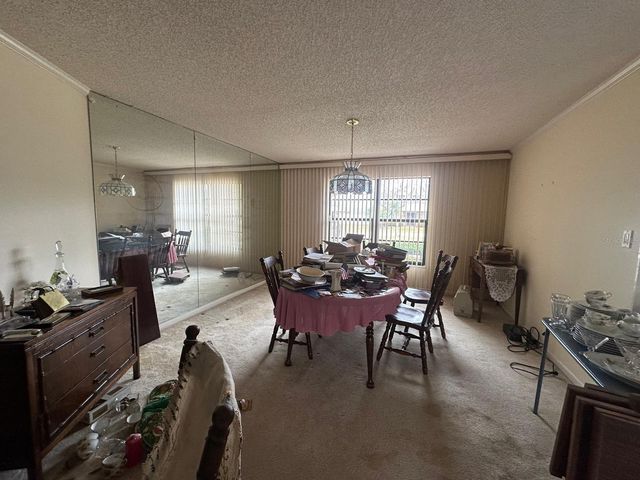 19250 BLOUNT RD, Lutz, FL 33558
