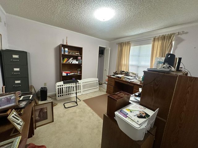 19250 BLOUNT RD, Lutz, FL 33558