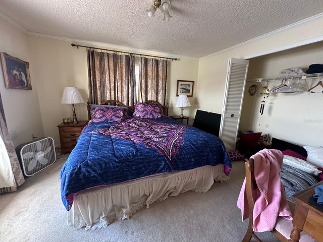 19250 BLOUNT RD, Lutz, FL 33558