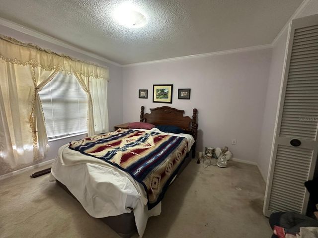 19250 BLOUNT RD, Lutz, FL 33558