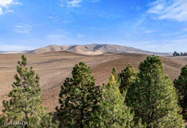 3351 W Lone Pine Rd, Tekoa, WA 99033