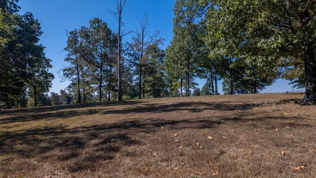 18180 Us 160, Alton, MO 65606